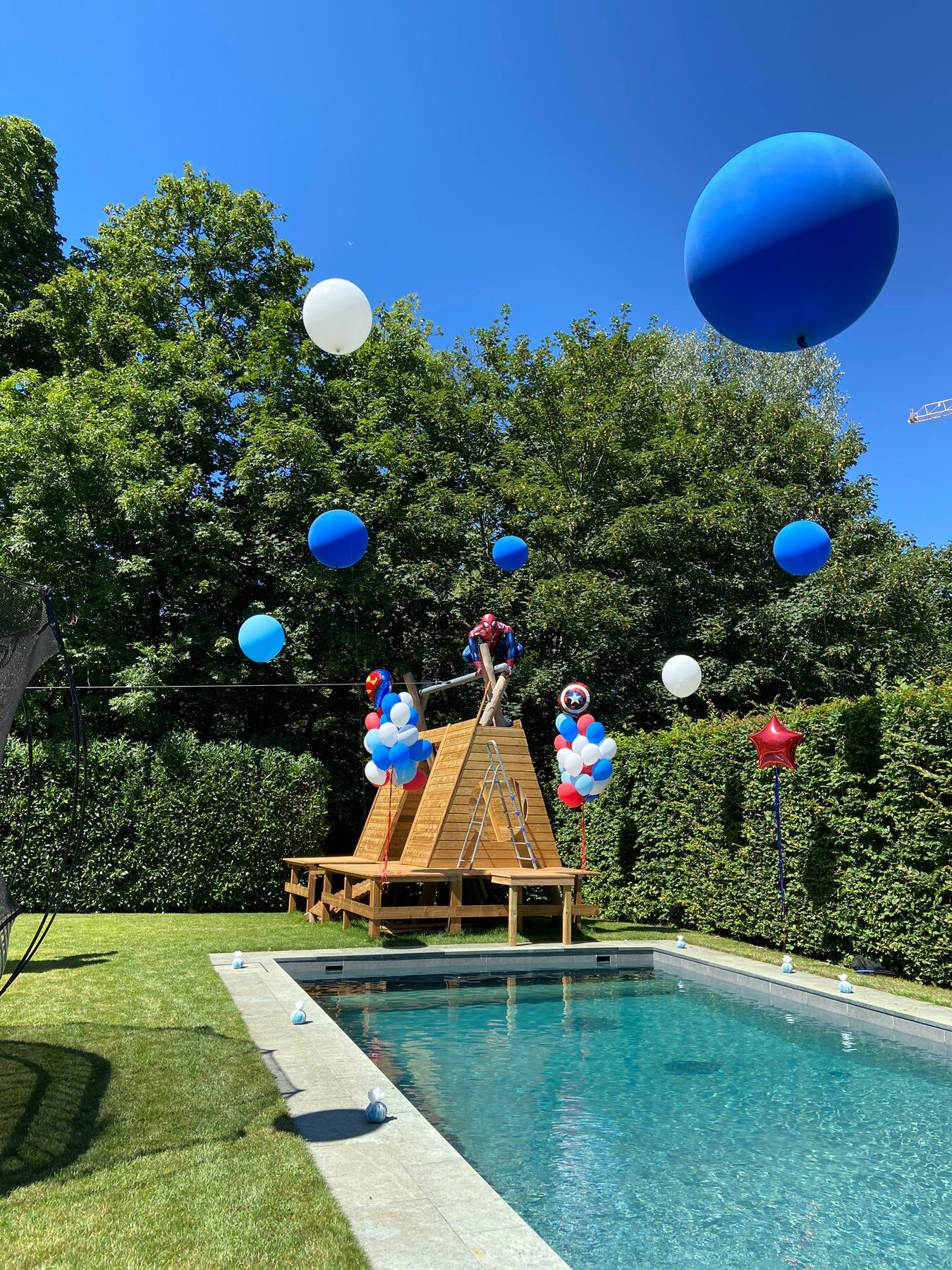 Summer garden and pool