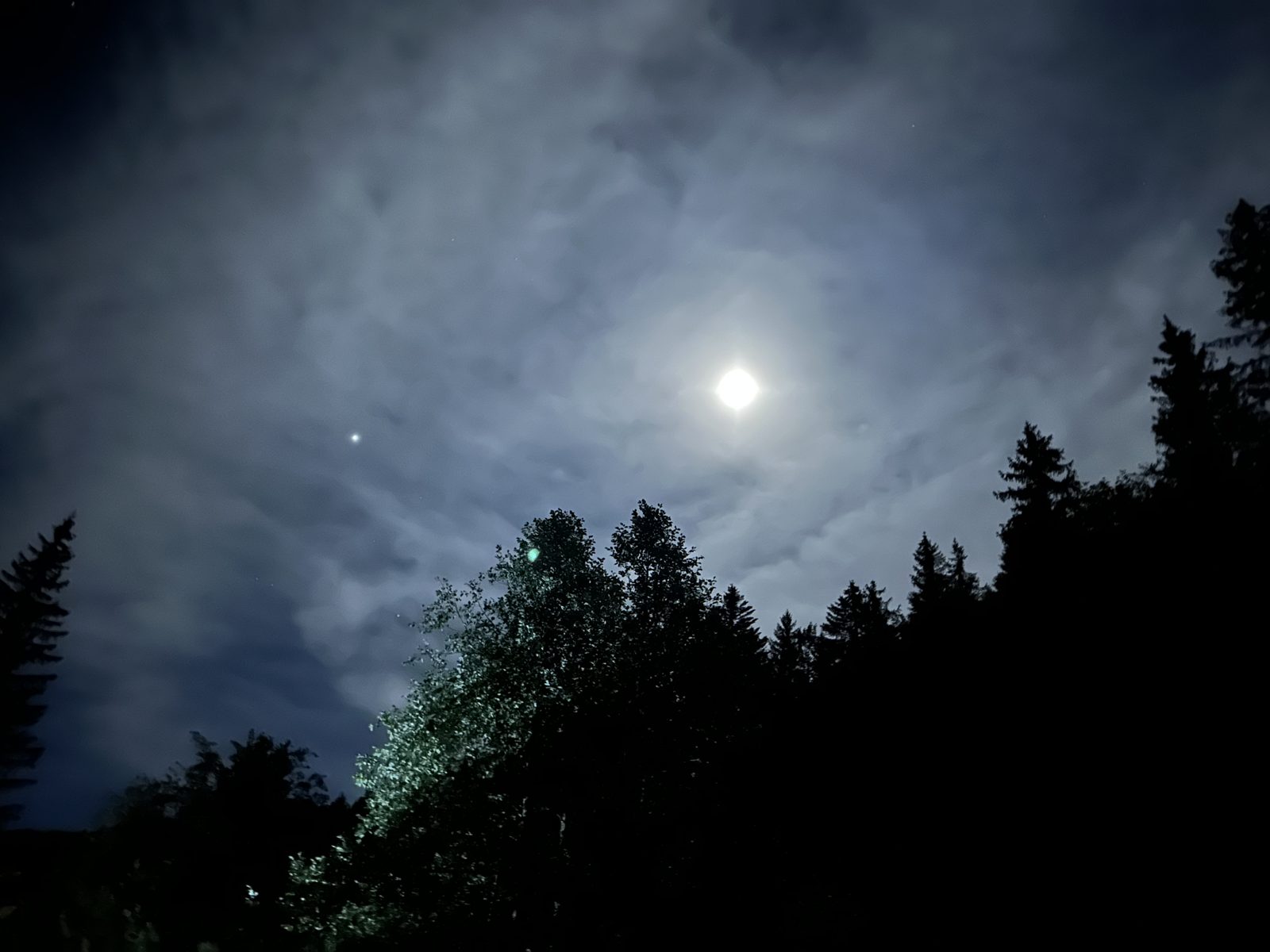 A moonlit alpine night