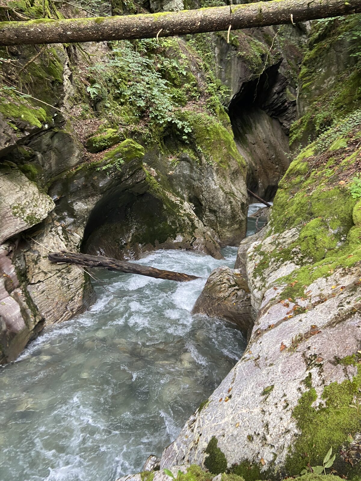 Alpine waterfall in the woods